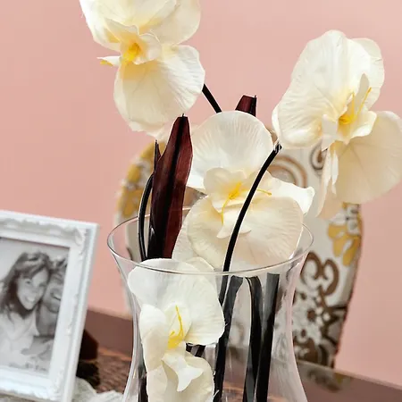 Hotel Galeria Valeria Seaside Downtown - Mag Quaint & Elegant Boutique