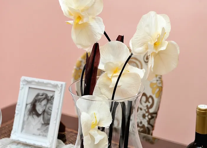 Hotel Galeria Valeria Seaside Downtown - Mag Quaint & Elegant Boutique